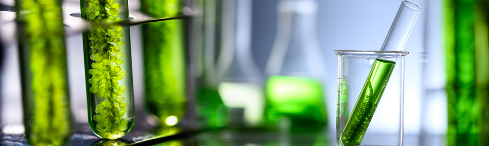 Licence Biotechnologie